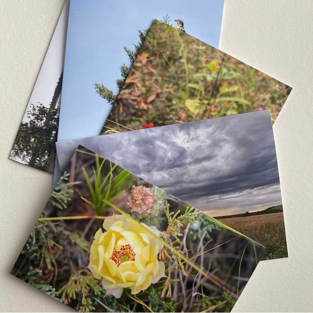 Saskatchewan Blank Card Set